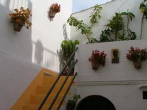 The lovely outdoor patio on the ground floor