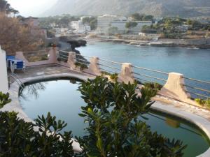 communal pool and sunbathing area