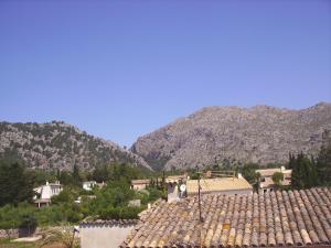 Roof terrace view