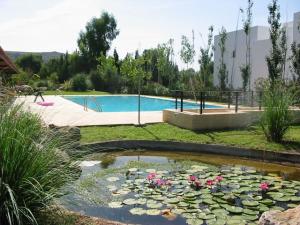 Swimming Pool and gardens